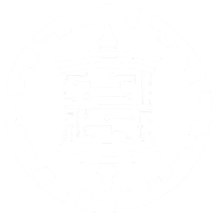 Solution Nepal Logo
